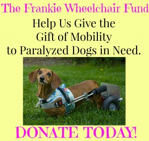 frankie wheelchair fund logo