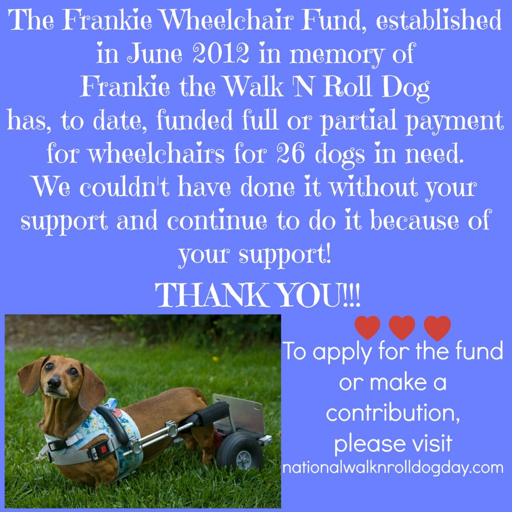 frankie fund banner
