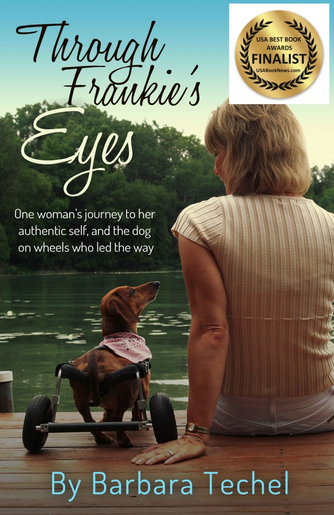 Through Frankie's Eyes best book finalist