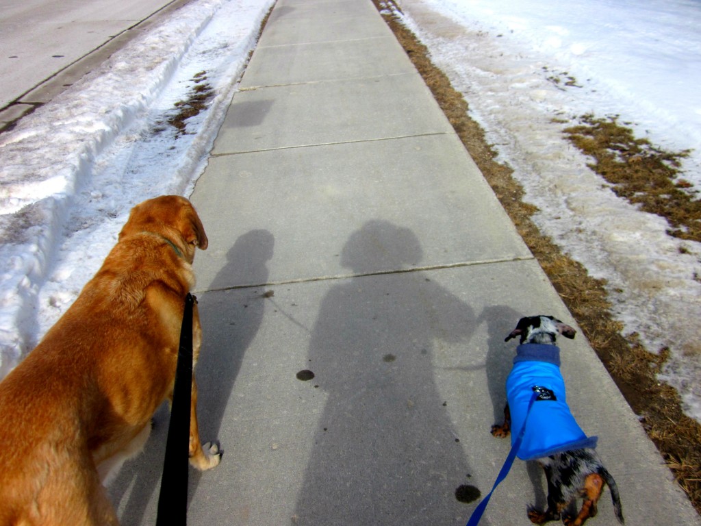 me and my shadows