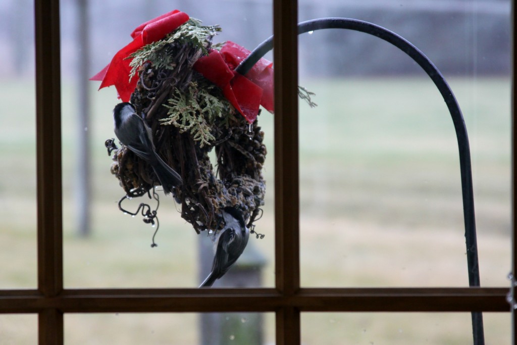 Co-workers at My Writing Cottage - Celebrating Christmas