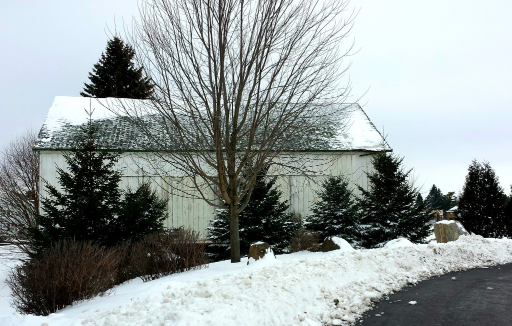 Old Barn: Enjoying What Is.