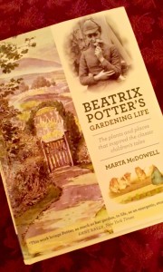beatrix potter book