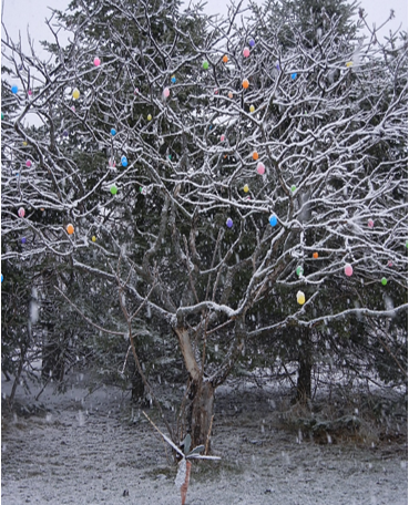 On Winter Egg Trees, Transition, and Working with Spirit of the Horse