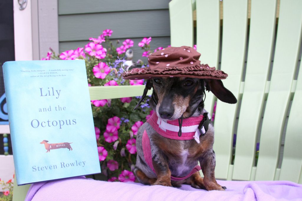It's Here! It's Here! A Summer Read I've Been Eager to Read: "Lily and the Octopus."