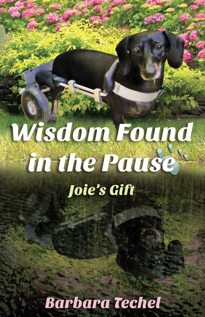 This is it! The Cover for My New Book: Wisdom Found in the Pause - Joie's Gift