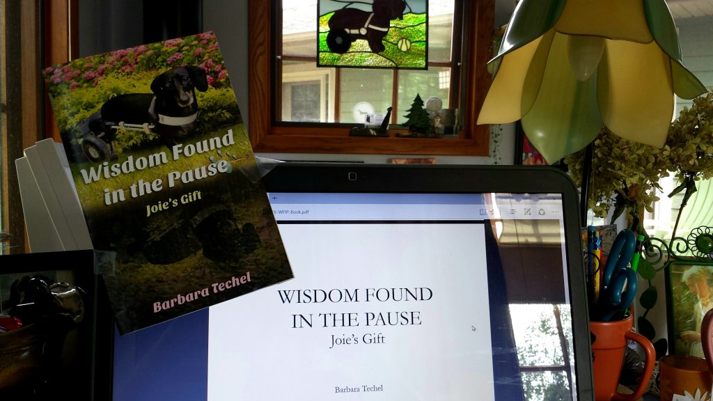Update on My New Book: "Wisdom Found in the Pause- Joie's Gift." Getting Closer to Publication!