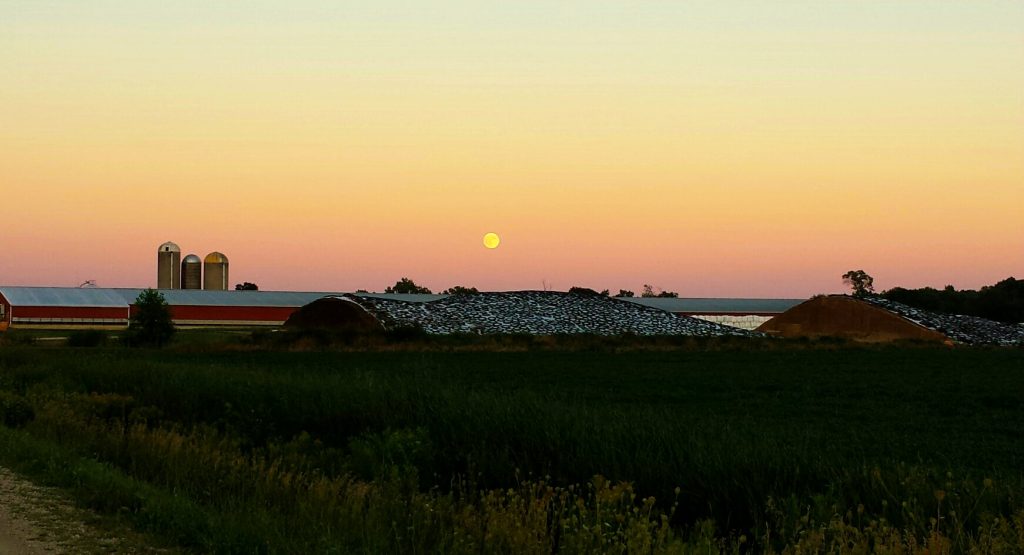 The Magical Moon that Led Us Home and Its Residual Message