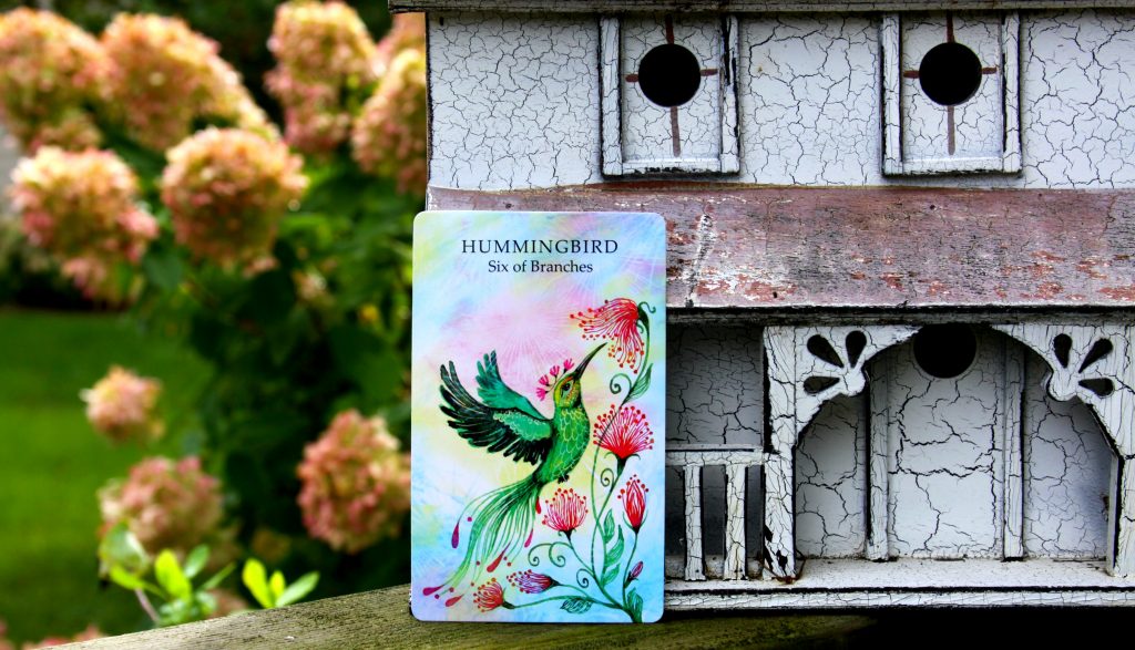 The Royal Hummingbird - A Bridge Between Sky and Earth