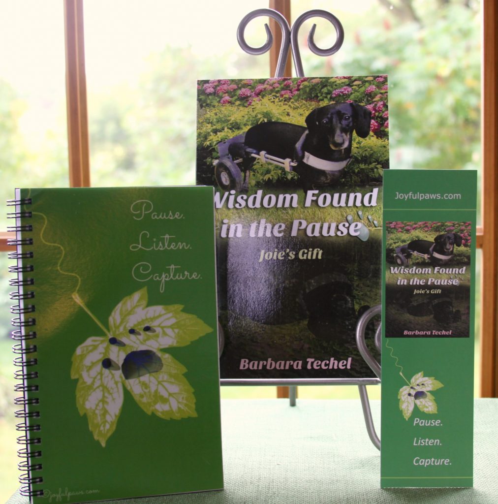 Accepting orders thru tomorrow only (Friday) for Special Edition Gift Package of My New Book, "Wisdom Found in the Pause"