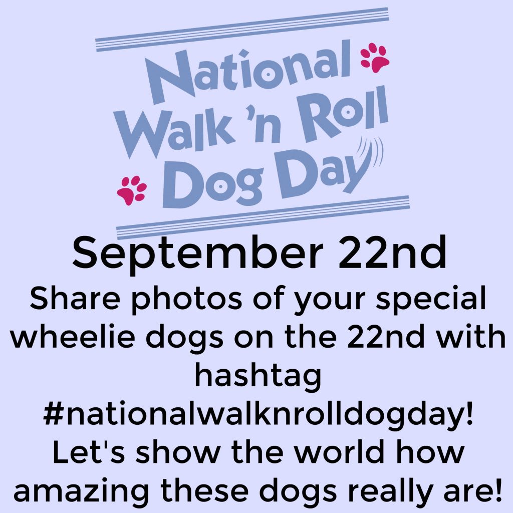 September 22 - Annual Celebration of National Walk 'N Roll Dog Day - Will You Help Me Spread the Word?