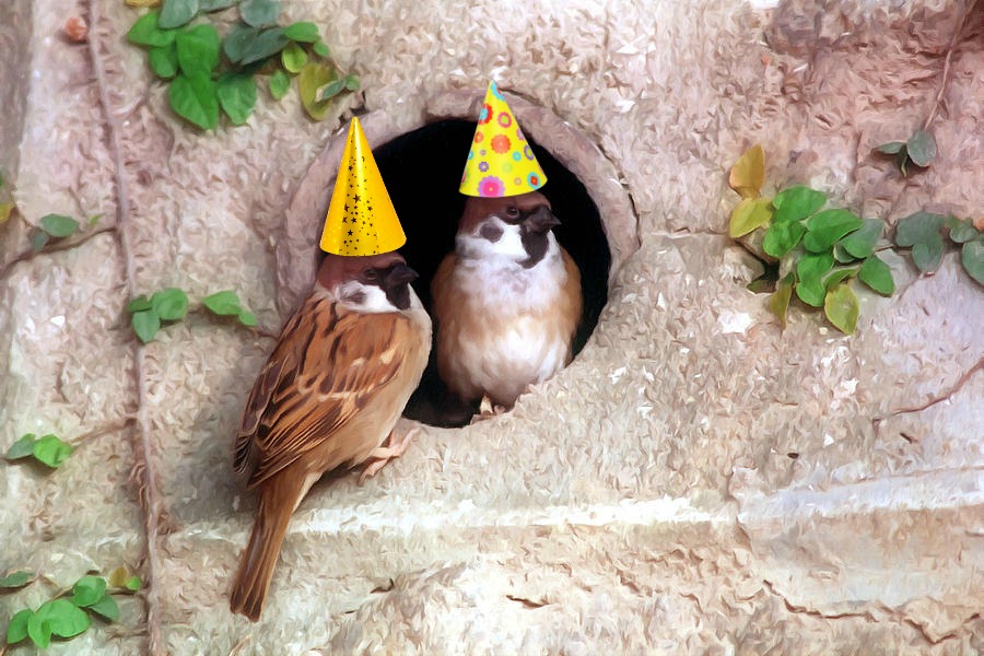Happy Birthday to My Special Sparrow, John