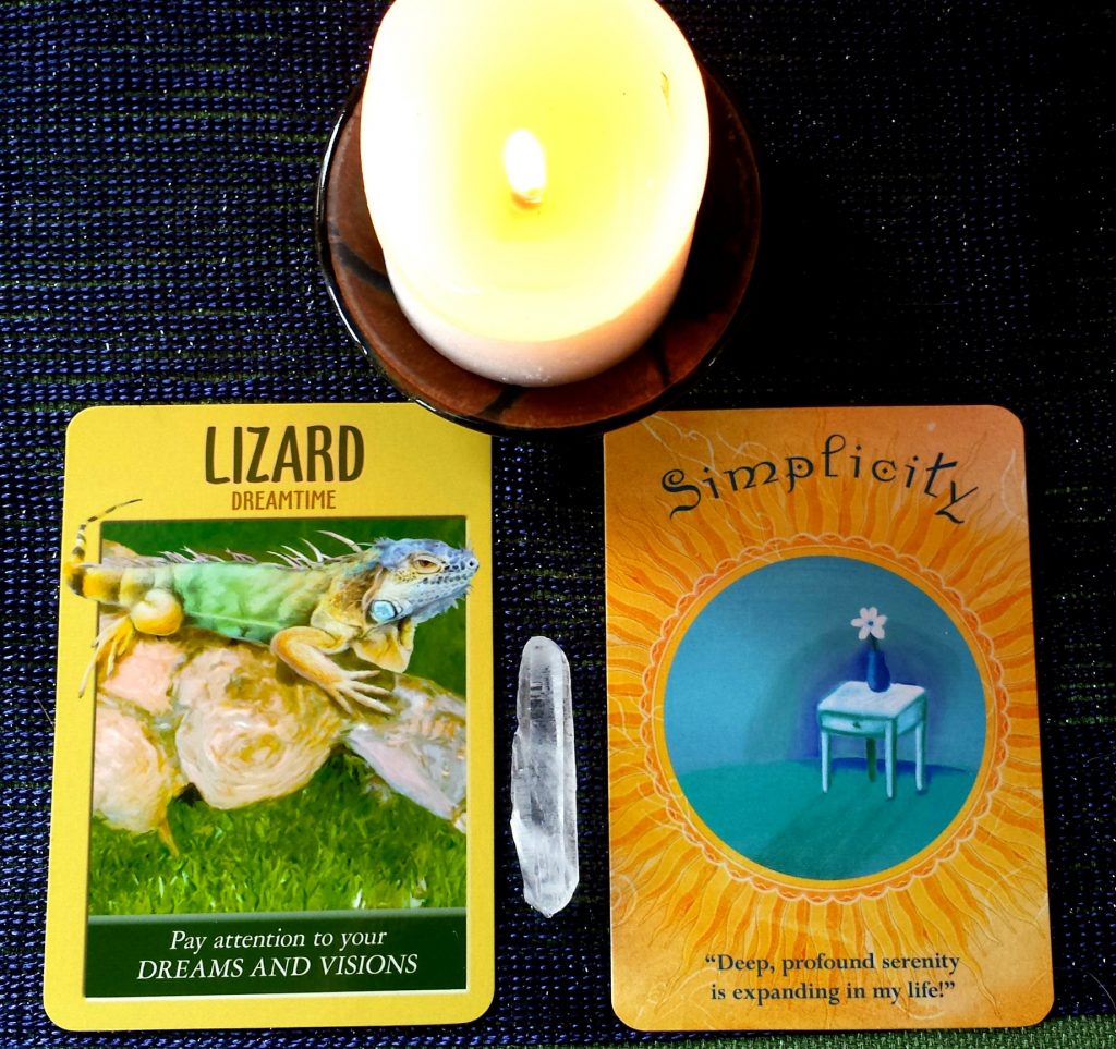 Wisdom from the Oracle - What Do Lizard and Simplicity have to Teach Us?