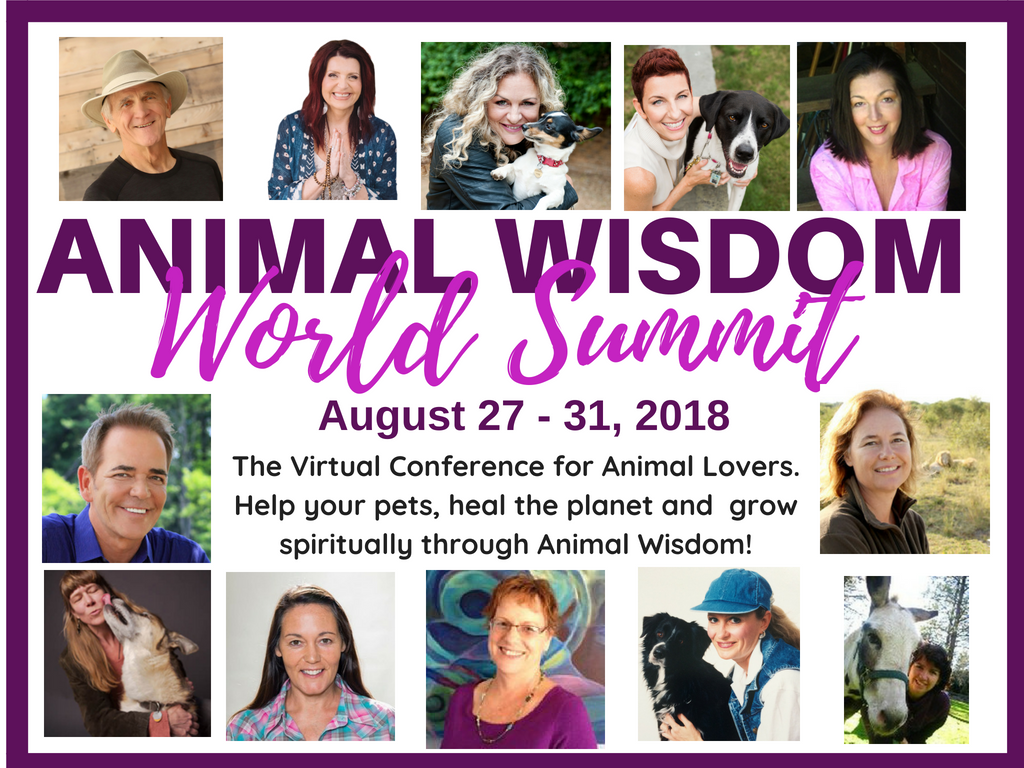 2018 Animal Wisdom World Summit On-Line Event. You Are Invited!