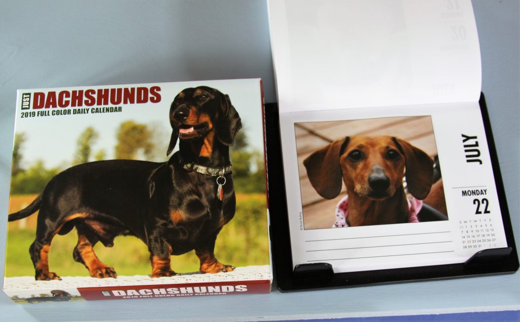Divine Timing and Dachshund Calendar Giveaway!