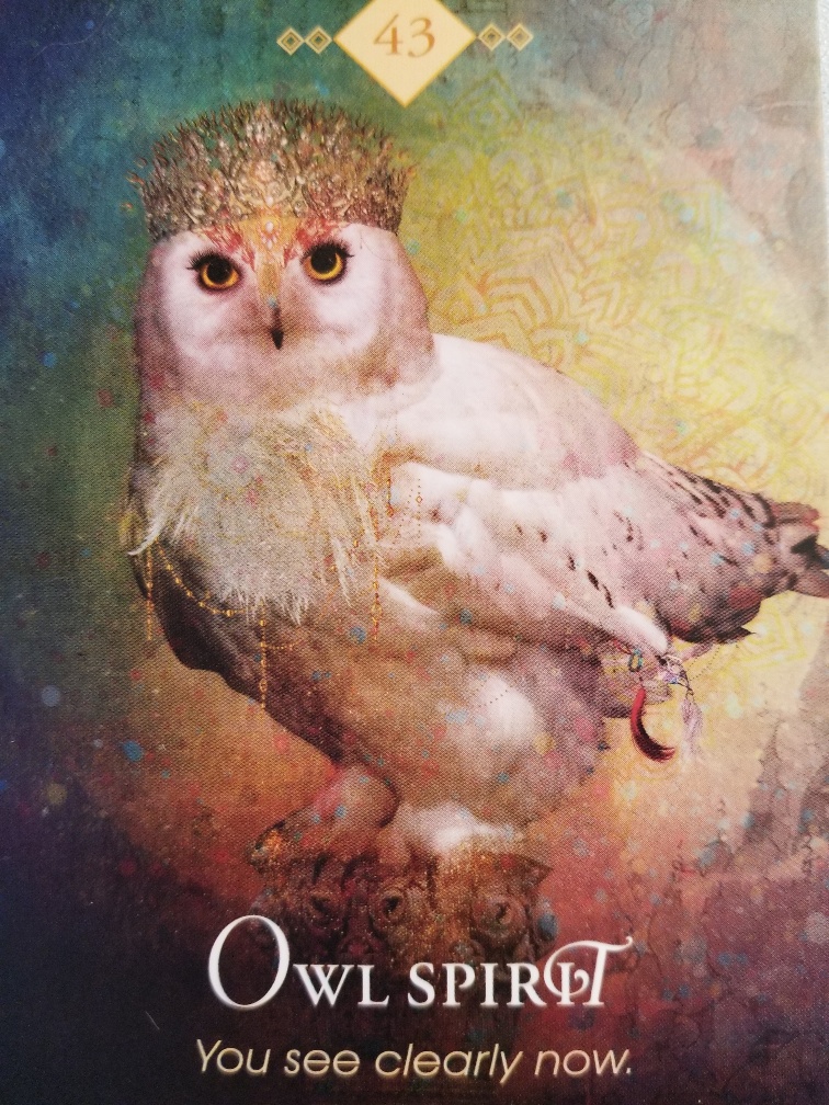 December Animal Oracle Wisdom from Owl