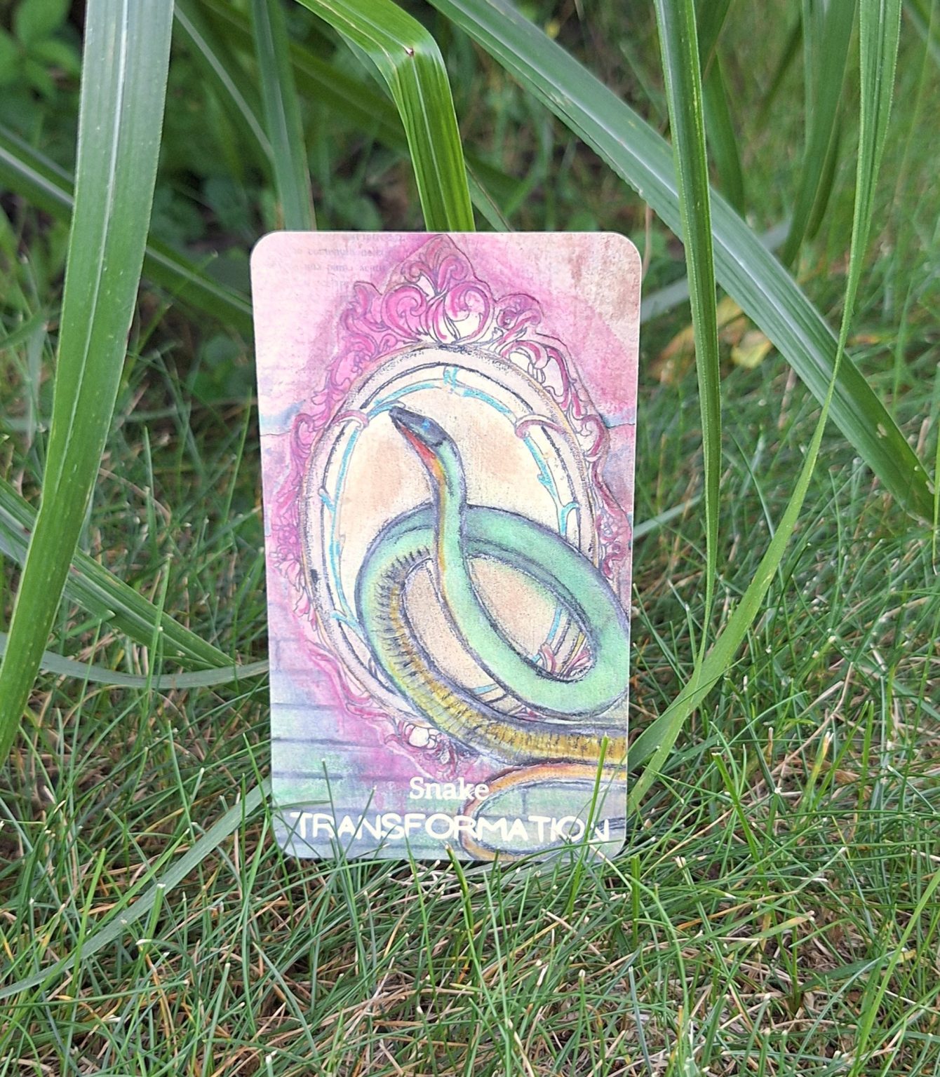 Snake - Transformation - Joyful Paws